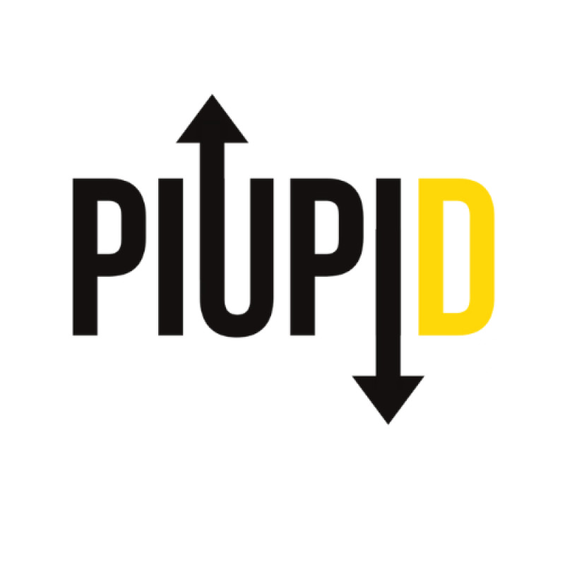 Pick It Up, Put It Down 2024 logo