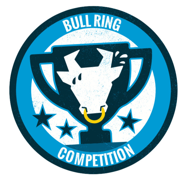 BULLRING PAIRS logo