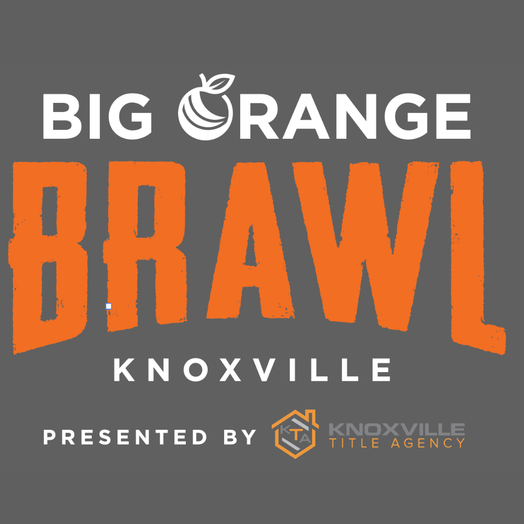 Big Orange Brawl 2025 Online Qualifier  logo