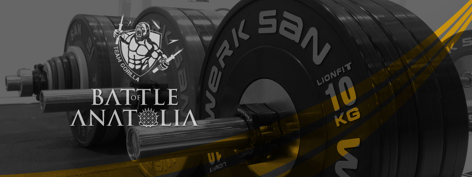 Battle of Anatolia - Finals logo