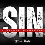 SIN Strength in Numbers logo