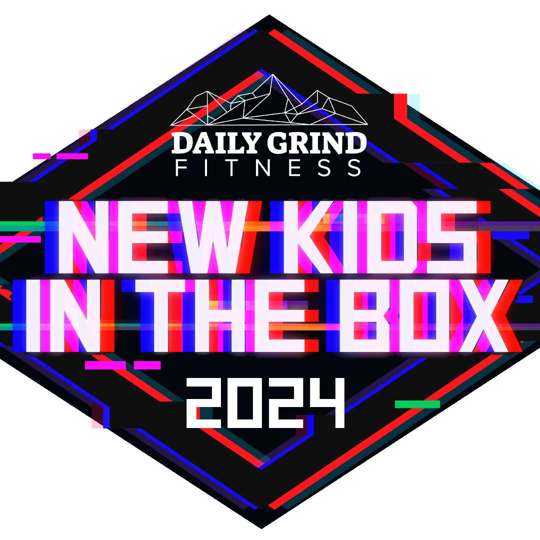 New Kids in the Box 2024 logo