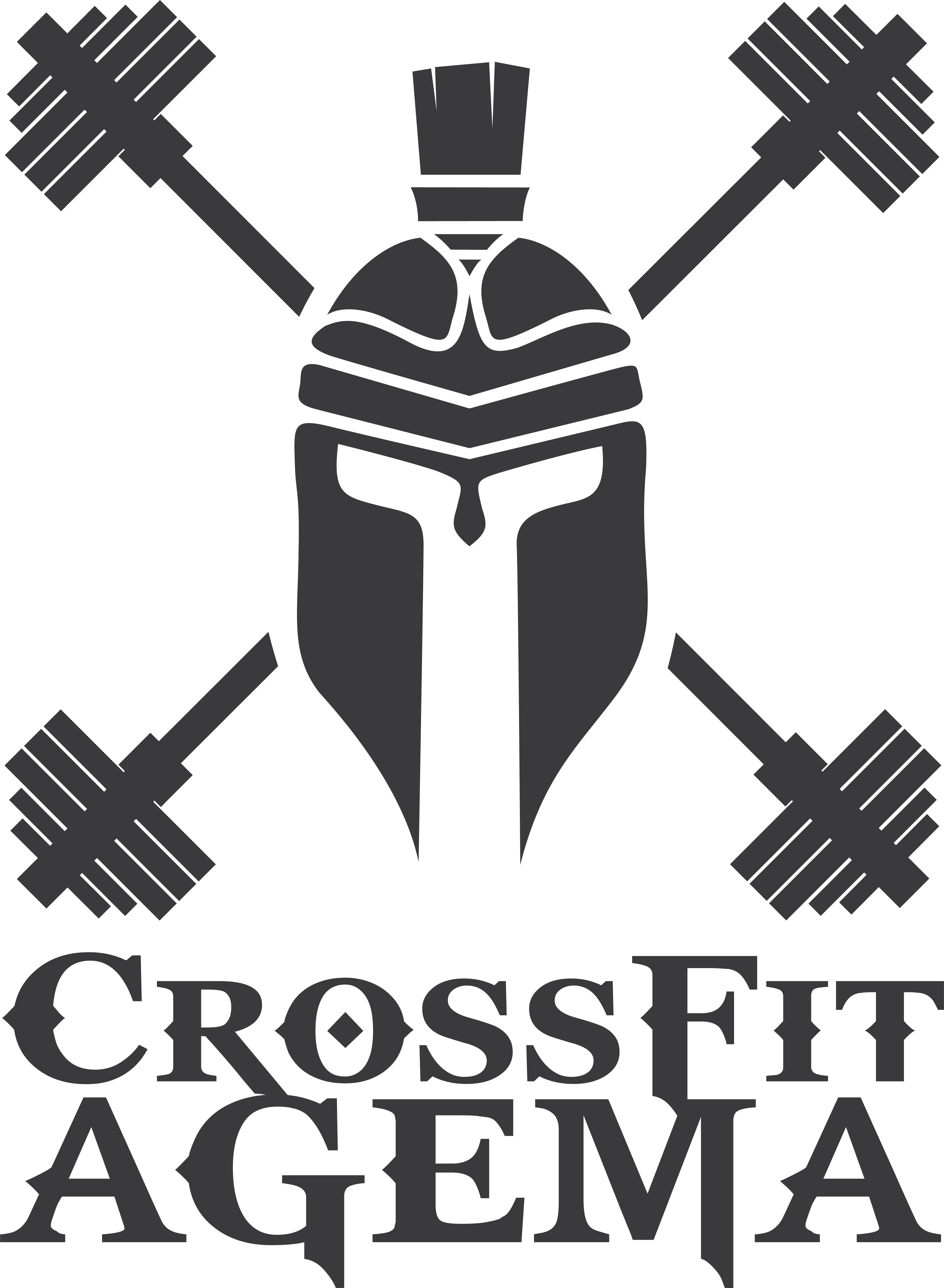 CrossFit Agema's Winters War - Battle of the Fittest 2020 logo