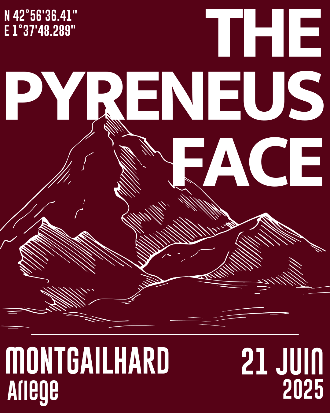 THE PYRENEUS FACE #2 logo