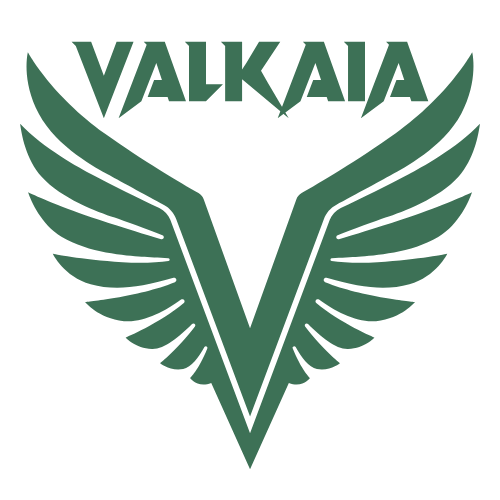 Rise Of Valkaïa - Teams logo