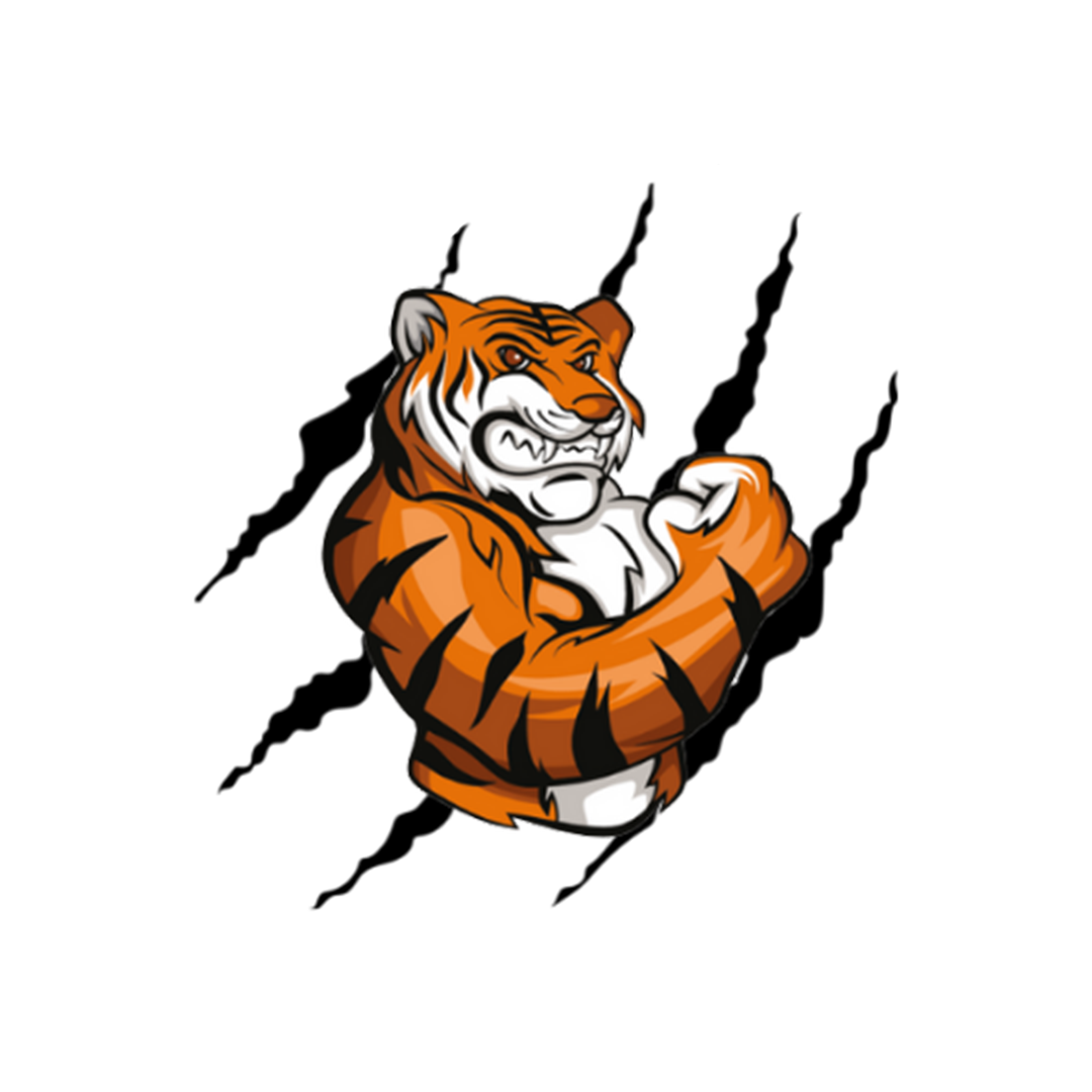 TIGER CONTEST 6 logo