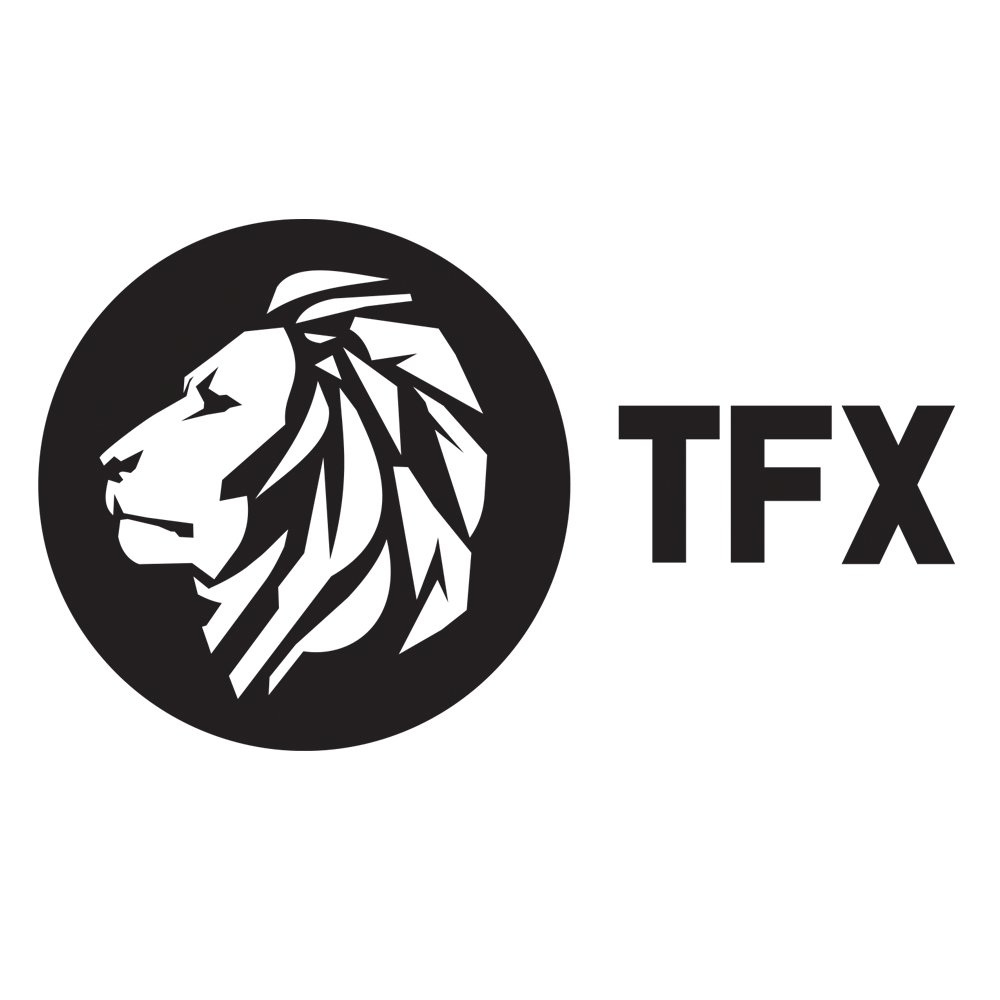 The Fittest Experience 2025 Online Qualifier logo