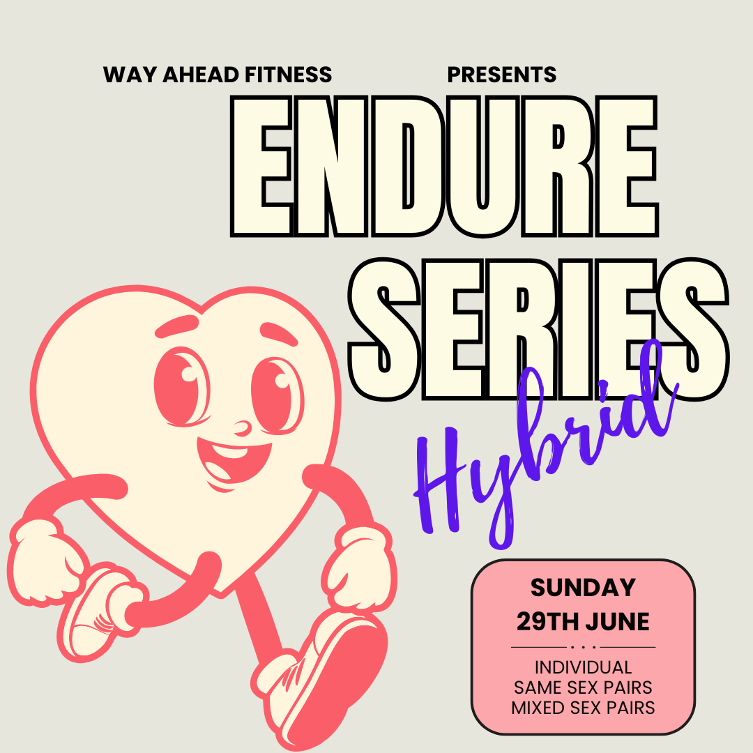 Endure Series - Hybrid logo