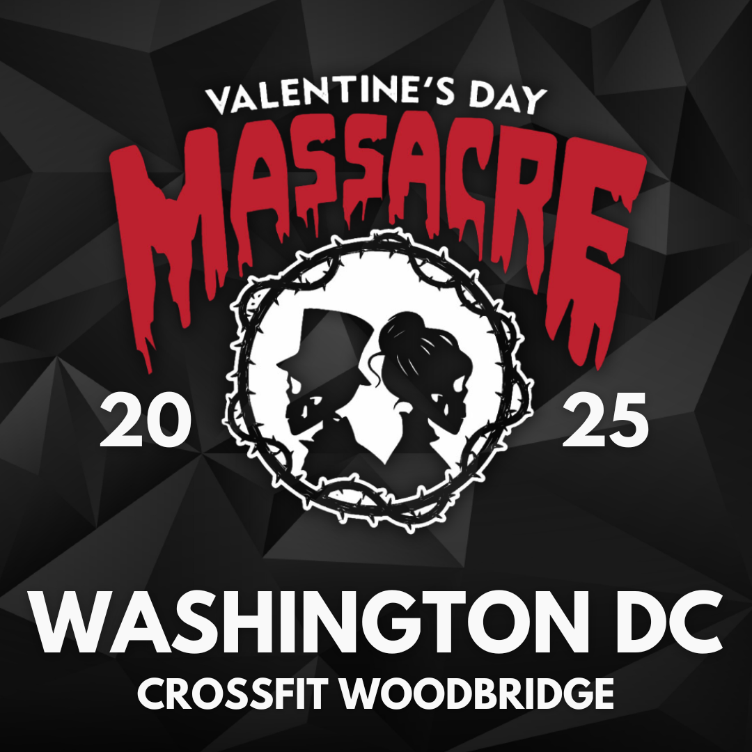 VDM 2025 - Washington DC logo