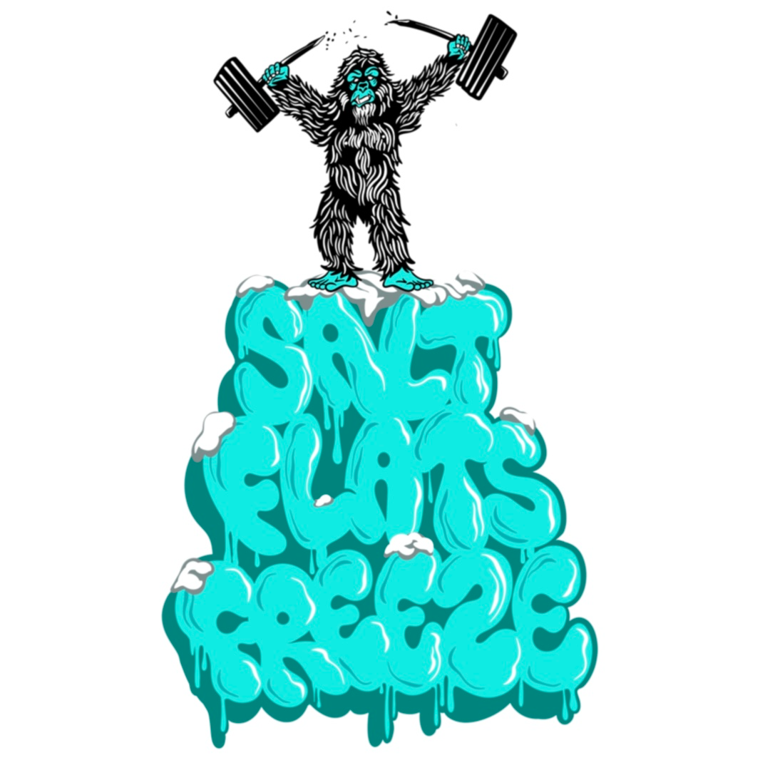 Salt Flats Freeze logo