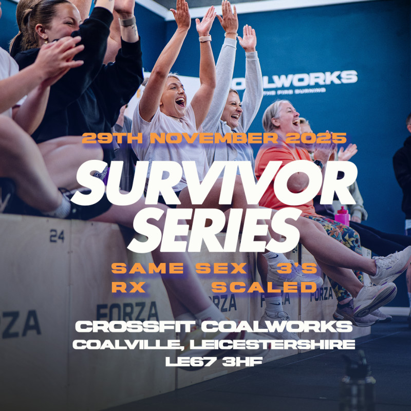 SURVIVOR SERIES logo