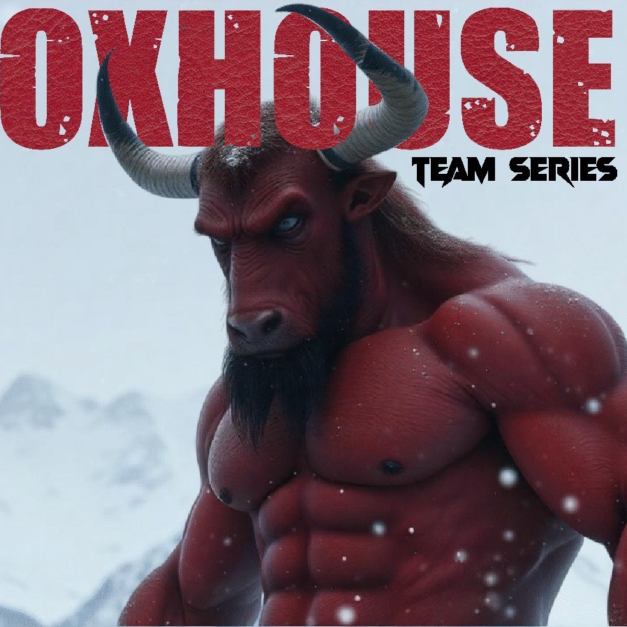 Oxhouse Team Series: Blizzard logo
