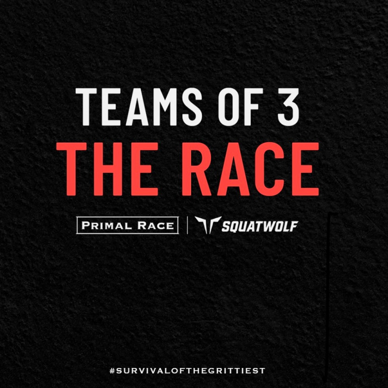 PRIMAL RACE logo