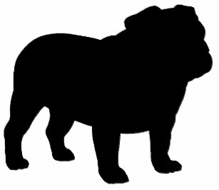 Upstate Open 20 logo