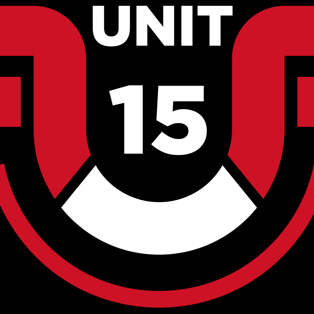 UNIT 15 - HYROX Power series Pairs Simulation Day  logo