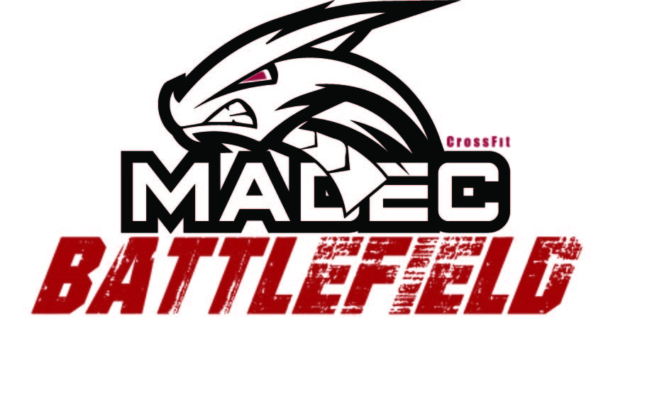 MADEC BATTLEFIELD 2023 logo