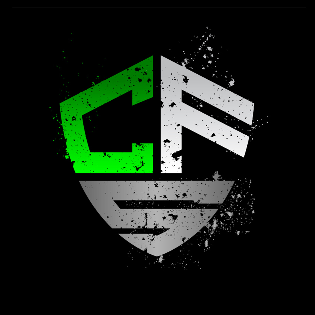 CrossFit Sliedrecht Buddy Box Throwdown 2025 logo
