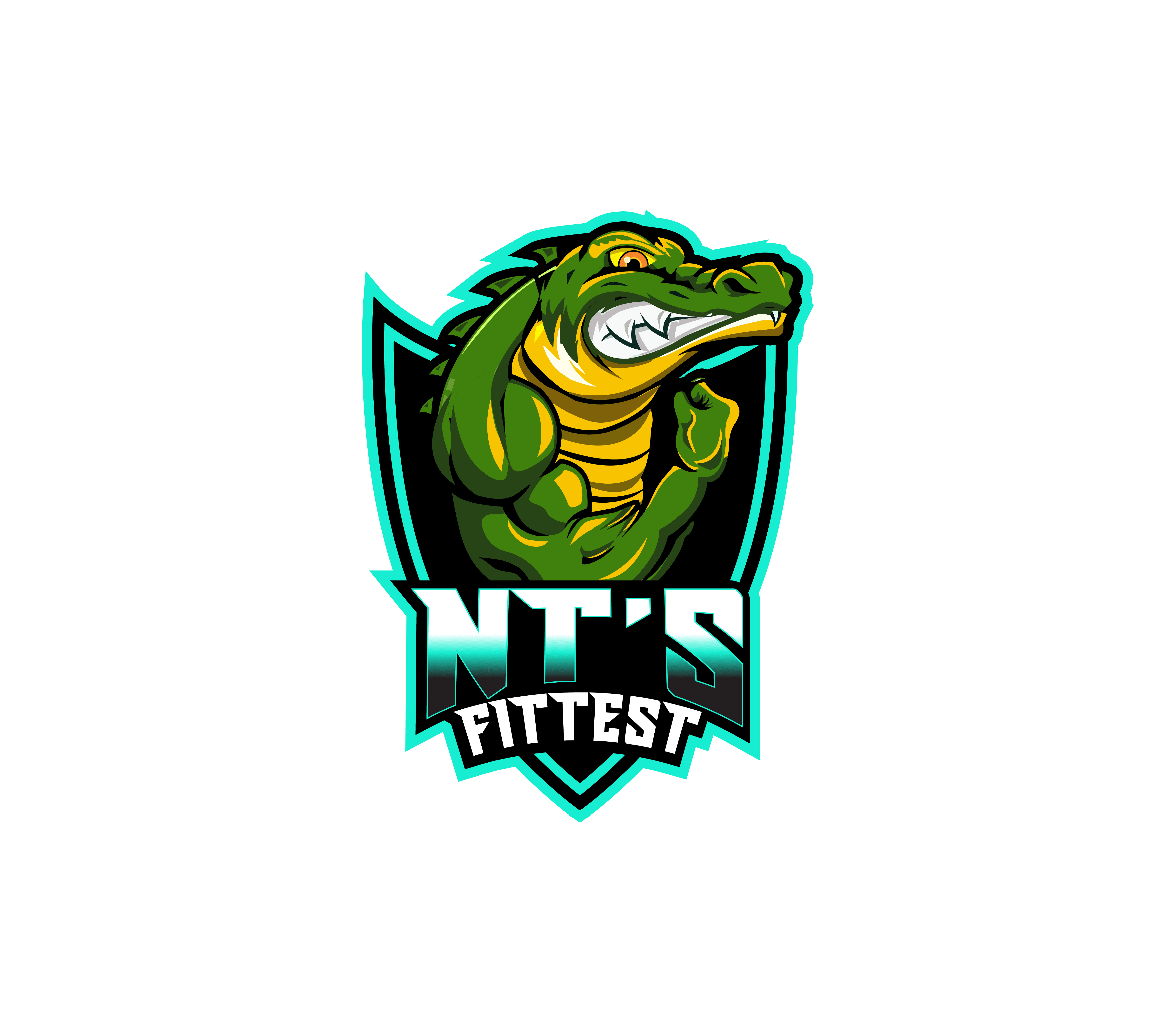 NT's Fittest Partner Series logo