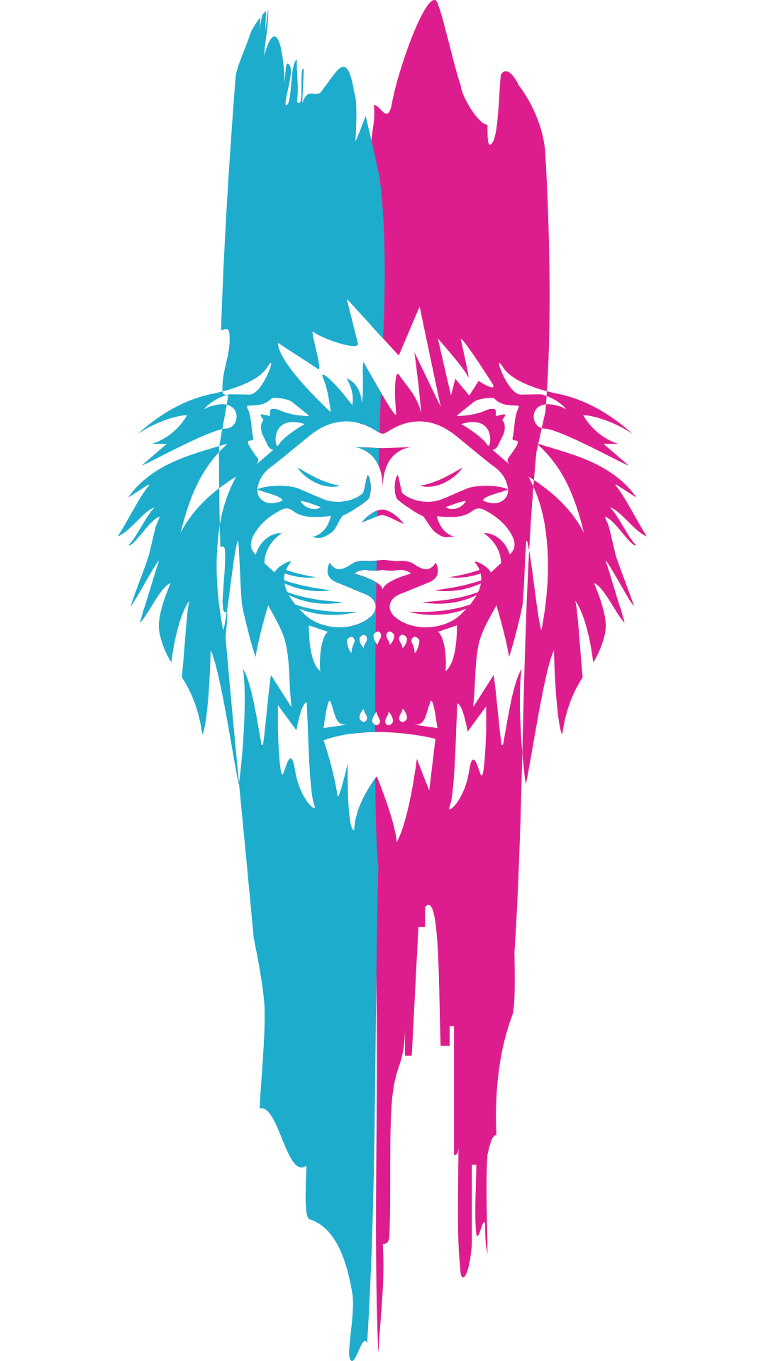 Battle of the Lion 2024 - Online Qualification logo