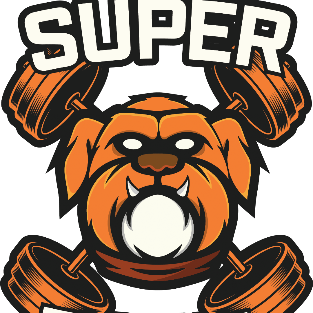 The SuperTotal 2025 logo
