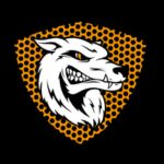 Hyrox Training Race logo
