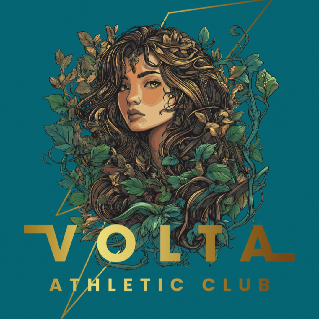 Volta Games I logo