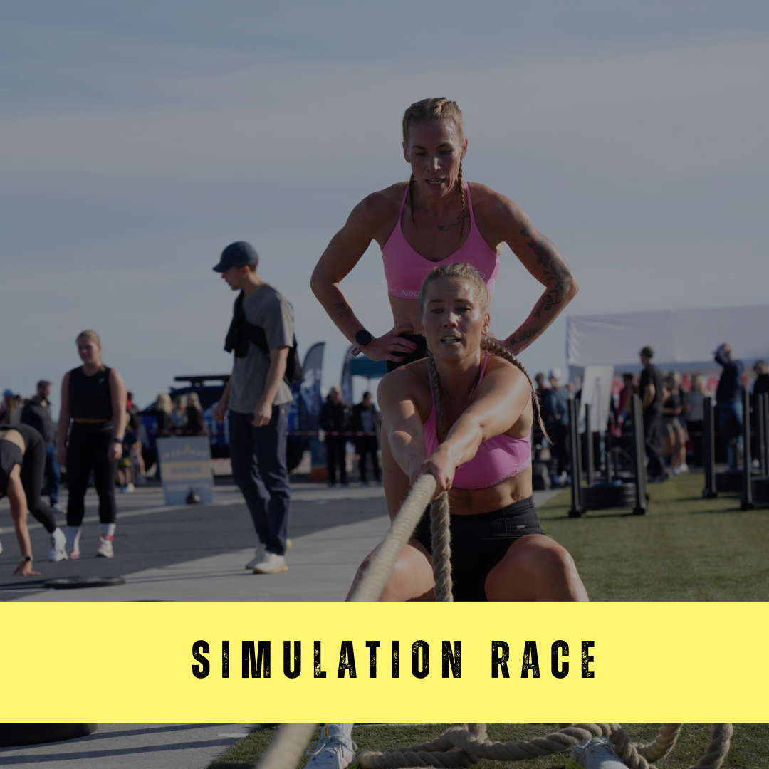 SIMULATION RACE  logo